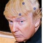 Comb Over Explained