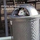 Come Back Later