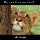 Come Down Please