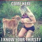 Come Here