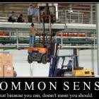 Common Sense