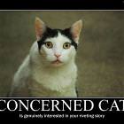Concerned Cat
