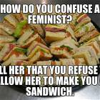 Confuse A Feminist