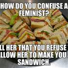 Confuse A Feminist