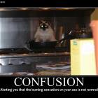 Confusion