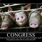 Congress