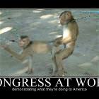 Congress