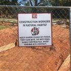 Construction Workers