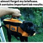 Contains Imporant Results