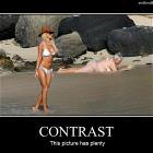 Contrast