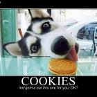 Cookies