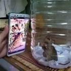Cool Animals 142