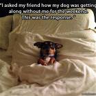 Cool Animals Picdump 12