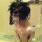 Cool Animals Picdump 24
