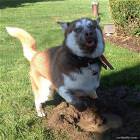 Cool Animals Picdump 28