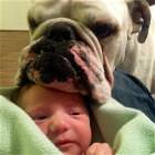Cool Animals Picdump 29