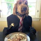 Cool Animals Picdump 33