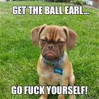 Cool Animals Picdump 43
