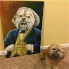 Cool Animals Picdump 48