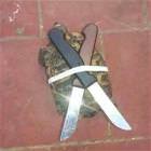 Cool Animals Picdump 52