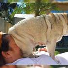 Cool Animals Picdump 55