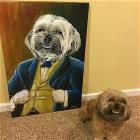 Cool Animals Picdump 59