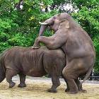Cool Animals Picdump 64