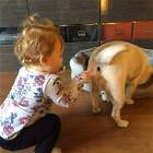 Cool Animals Picdump 67