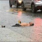 Cool Gifs 54