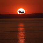 Cool Stuff   GIFDUMP   117