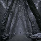 Cool Stuff   GIFDUMP   85
