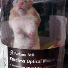 Cordless Optical Mouse