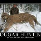 Cougar Hunting