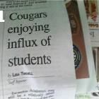Cougars
