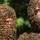 Covered In Bees