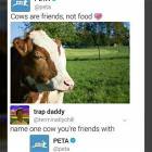 Cows Are Friends Not Food
