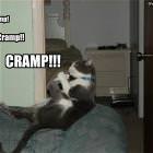 Cramp Cramp