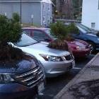 Crazy Kids These Days