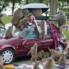 Crazy Monkey Attack