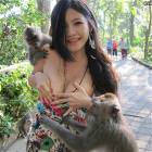 Crazy Monkeys