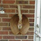Creative Doorbell