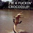 Crocodile