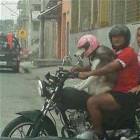 Cruisin For Bitches