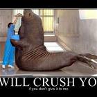 Crush You