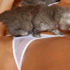Curious Pussy