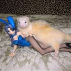 Cute Couple