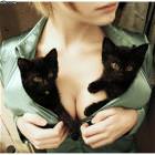 Cute Little Kitties