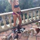 Cute Puppies