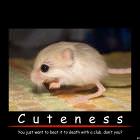 Cuteness