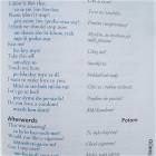 Czech For Beginners